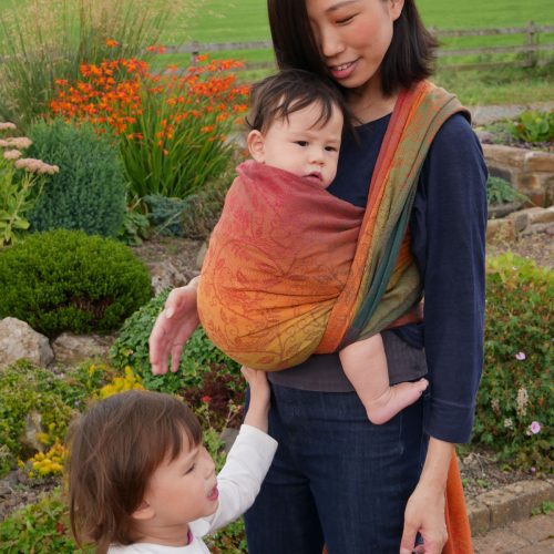 BRIARWOOD ACORN BABY WRAP CARRIER OSCHA 6 19734373 a9b7 42d8 b811 967f1f9ea978