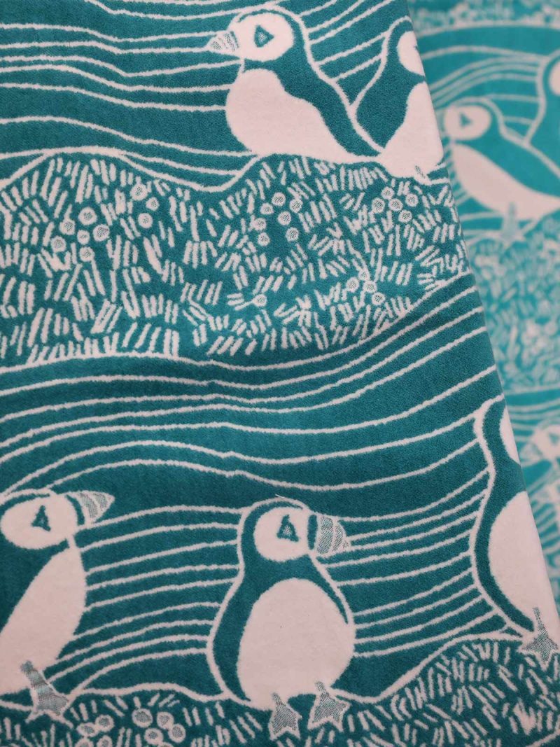 Puffins Bass Rock Throw Close Up 1